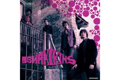 Edgar Raposo (Groovie Records)