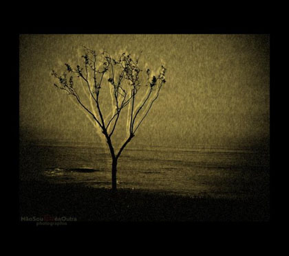 NãosouEué aOutra -autorizada. - www.olhares.com -autora da capa de meu livro