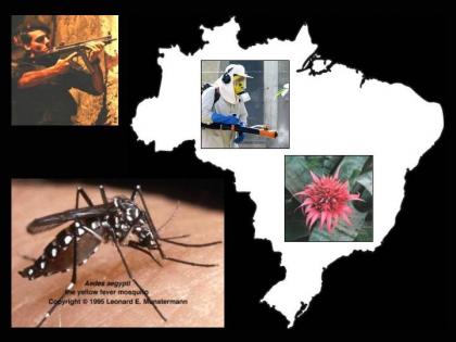 Fotomontagem: Lailton Araújo