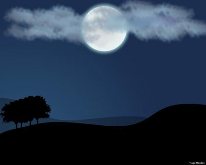 http://farm4.static.flickr.com/3127/2326393447_4cb0a47690.jpg?v=0