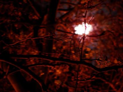 flickr/abstrato