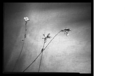 Emptiness by Tom Persinger