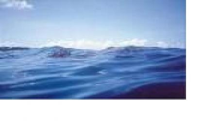 redeimprensalivre.blogspot.com