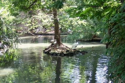 Foto histórica de dominio publico.