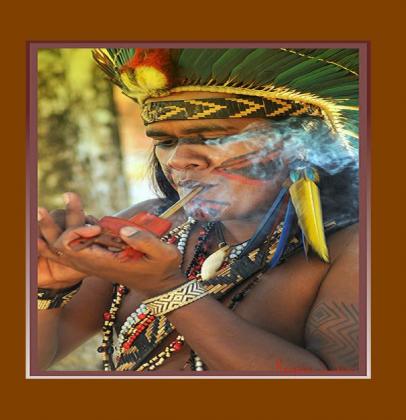 Regina Simões, Flickr