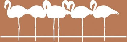 CD 18.000 MULTIMEDIA PACK - CD EXPERT - 1997