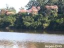Aepan-ONG