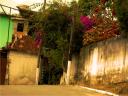 demetris cotta - sete lagoas - mg