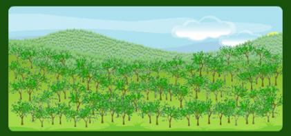 Captura do www.clickarvore.com.br