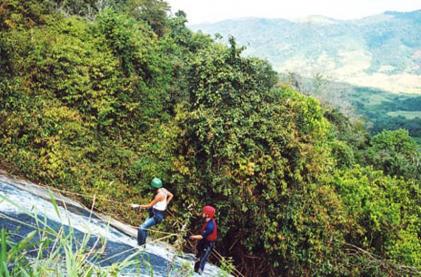 Divulgação Gato do Mato