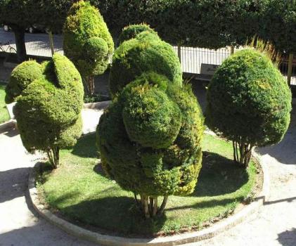 Luiz Antonio Cavalheiro