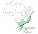 Mapa com o que tinha e o que tem de Mata Atlântica no Brasil