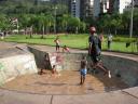 Eles conseguem até andar sobre a água