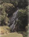 Uma das cachoeiras de Ã¡gua cristalina e abundante presentes na Ã¡rea do morro.