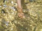 Os peixinhos brincando nas águas limpas. E o meu pé direito!