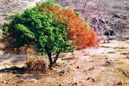 viniciuscgpb@yahoo.com.br