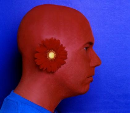 Divulgação/Todos os direitos reservados