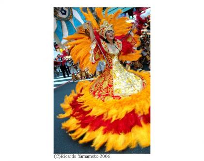 (C)Ricardo Yamamoto 2006