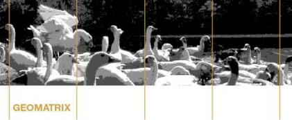 Imagem do site www.file.org.br