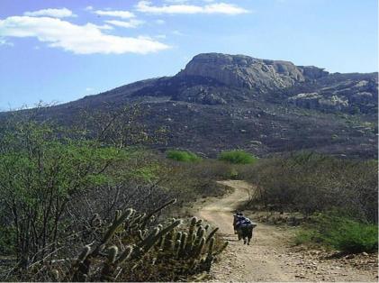 PAI PEDRO – UNIÃO DA SERRA GERAL