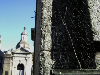 Nilton Lopes em print screen