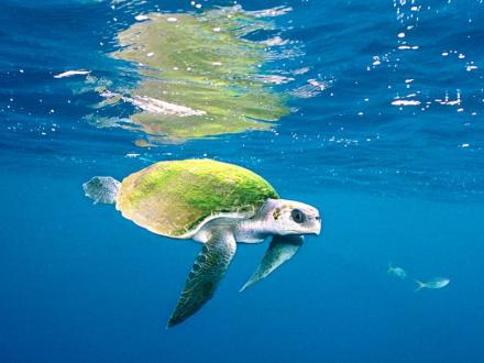 Divulgação / Editora Cidade Viva