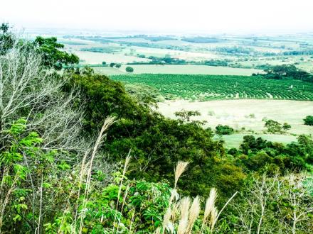 (CC BY-SA) Coletivo Colombina