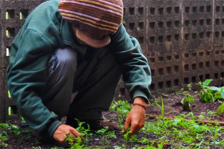 Eder Capobianco | Antimidia