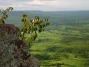 Turismo: o sertão já foi mar. Chapada do Araripe.