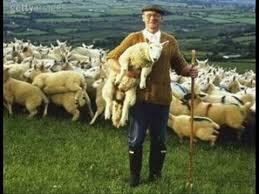 Pr. Fabiano Carvalho