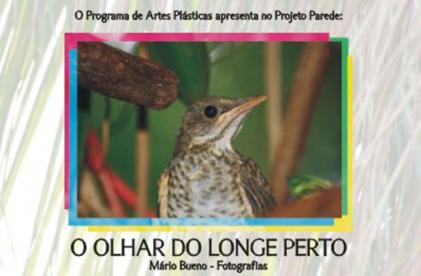 Foto Mário Bueno - Design Núcleo de Artes Visuais/UFMS